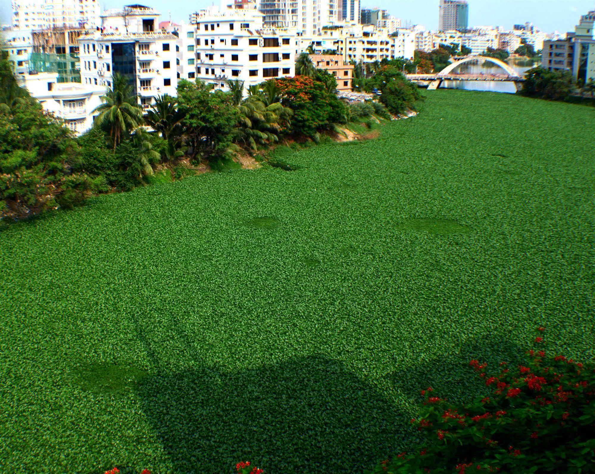 อะเมซอน ลิลลี เรสซิเดนซ์ Hotel ธากา ภายนอก รูปภาพ